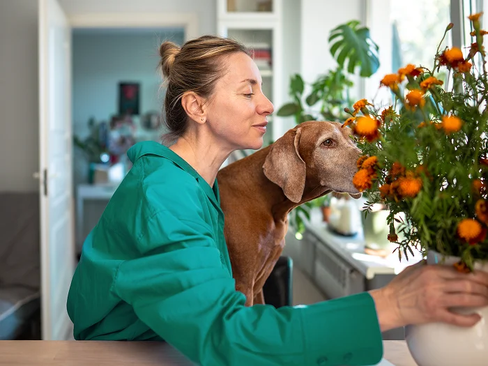 @lang('Mulher acarinha flores ao lado de um cão, num ambiente doméstico tranquilo - símbolo da proteção oferecida pelo seguro multirriscos para o lar e os animais de estimação.')